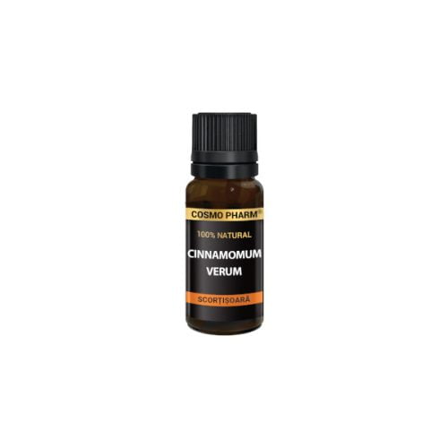Ulei esential de SCORȚIȘOARĂ - <em>Cinnamomum verum</em> - imagine 3
