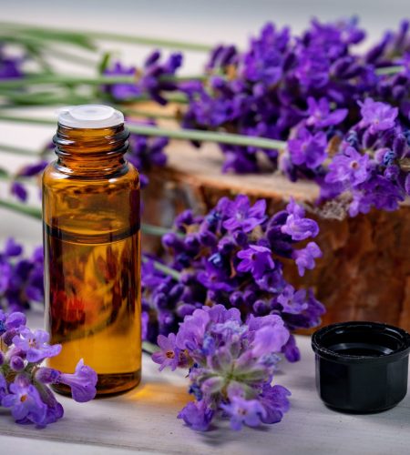 lavender essential oil bottle with fresh flowers